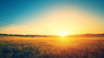 Golden Sunset Over a Lush Field