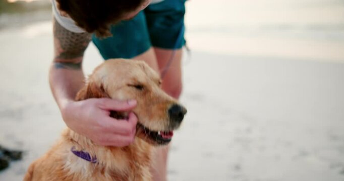 Man, beach and kiss dog in summer on walk with love, care and bonding on holiday in nature. Person, animal or pet golden retriever with connection, loyalty and trust by ocean with vacation in Brazil