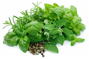 Fresh Herbs and Peppercorns Isolated on White.