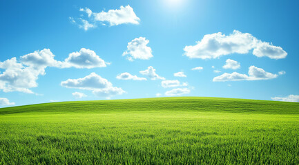 Obraz premium A large grassland with a blue sky and white clouds in the background. A flat green field with sparse plants at ground level with distant view. A horizontal composition, bright colors, natural light. 