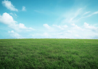 Obraz premium A large grassland with a blue sky and white clouds in the background. A flat green field with sparse plants at ground level with distant view. A horizontal composition, bright colors, natural light. 