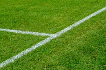 Fototapeta premium WM EM Fussball