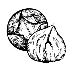 Roasted chestnut. Vector graphics depicting the fruits of a peeled roasted chestnut. A black and white hand-drawn illustration. On a white background. Great for labels, covers, flyers and packages.