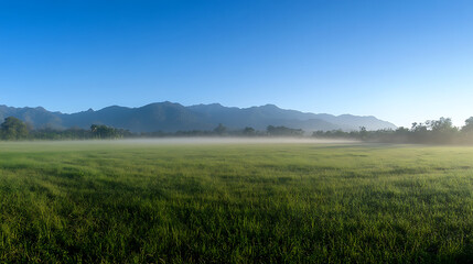 panoramic view of a foggy green meadow with mountains in the background, a blue sky, the sunny morning light