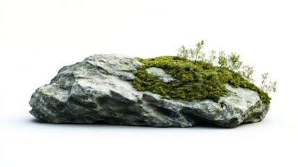 A moss-covered rock with small plants, showcasing nature's resilience and beauty.