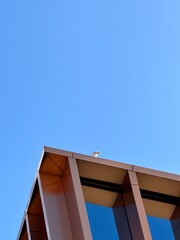 building under construction