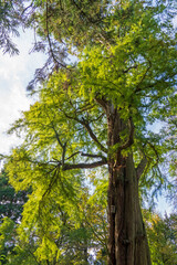 Park von Schloss Paffendorf