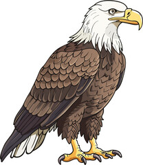 Obraz premium 독수리, 조류, 짐승,Eagles, birds, beasts