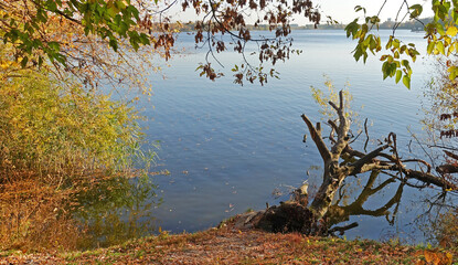 Autumn landscape with a river