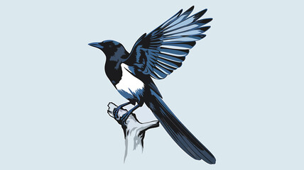 Elegant Magpie Illustration on a Simple Branch 