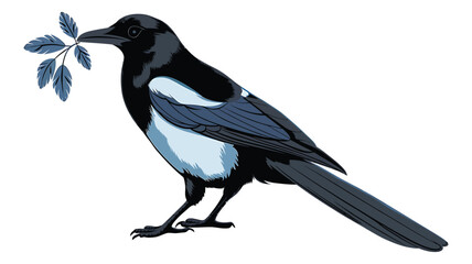 Elegant Magpie Illustration on a Simple Branch 
