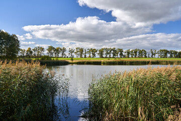 rural landscape with lake and forest during autumn
