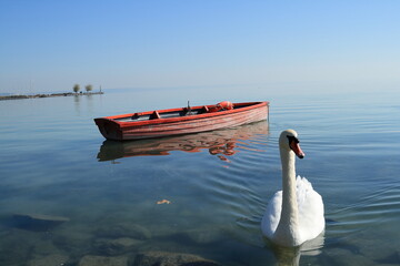 Lifeboat.