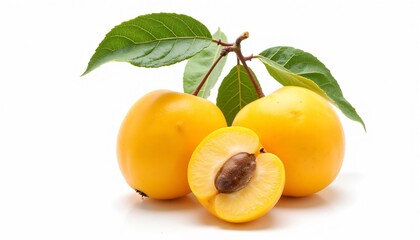 Fresh Yellow Plums with Green Leaves and Cross Section on White Background