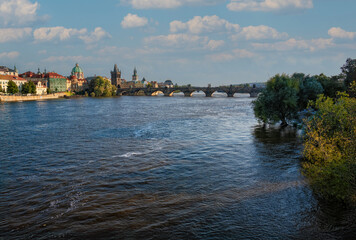 Obraz premium river with bridge and old town
