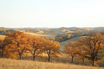 Obraz premium An open field dotted with trees in full autumn splendor, surrounded by rolling hills and a clear sky, creating a serene and peaceful landscape.