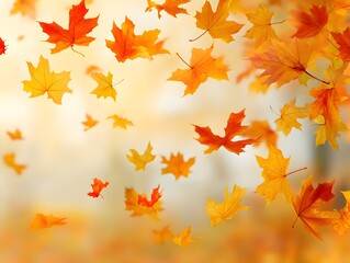 Beautiful orange and yellow autumn leaves banner background