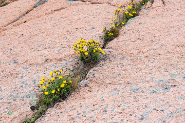 Blaue Jungfrau im Kalmarsund, Schweden © UllrichG