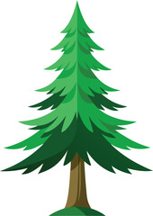 spruce tree silhouette, Set of silhouettes of spruce trees vector illustration