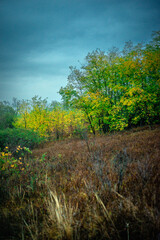 Landscape photography on the field with big and smooth clouds in the sky,Stormy weather on the picture.Big blue clouds iver the forest nd field, morning landscape in the woodlands.Aurumn blue hour,