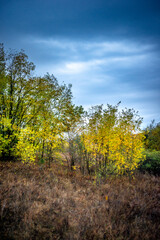 Landscape photography on the field with big and smooth clouds in the sky,Stormy weather on the picture.Big blue clouds iver the forest nd field, morning landscape in the woodlands.Aurumn blue hour,
