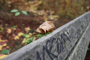 indian summer erlangen