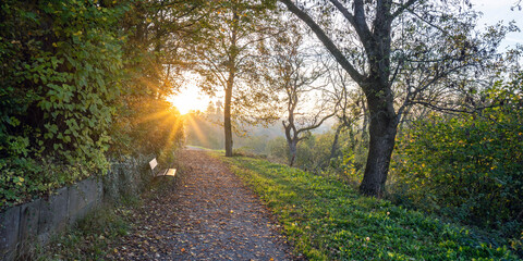 Höhenrandweg Waldenburg