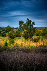 Landscape photography on the field with big and smooth clouds in the sky,Stormy weather on the picture.Big blue clouds iver the forest nd field, morning landscape in the woodlands.Aurumn blue hour,