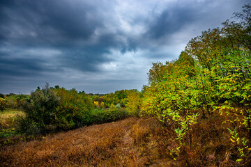 Landscape photography on the field with big and smooth clouds in the sky,Stormy weather on the picture.Big blue clouds iver the forest nd field, morning landscape in the woodlands.Aurumn blue hour,