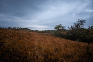 Landscape photography on the field with big and smooth clouds in the sky,Stormy weather on the picture.Big blue clouds iver the forest nd field, morning landscape in the woodlands.Aurumn blue hour,