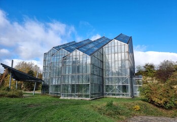 Obraz premium rainforest house with plants