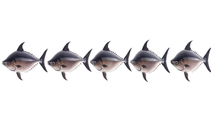 Set of Five Tuna Fish Displayed on a Clean White Background Generative AI