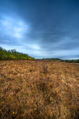Obraz premium Landscape photography on the field with big and smooth clouds in the sky,Stormy weather on the picture.Big blue clouds iver the forest nd field, morning landscape in the woodlands.Aurumn blue hour,