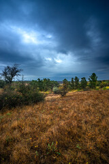 Landscape photography on the field with big and smooth clouds in the sky,Stormy weather on the picture.Big blue clouds iver the forest nd field, morning landscape in the woodlands.Aurumn blue hour,