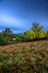 Landscape photography on the field with big and smooth clouds in the sky,Stormy weather on the picture.Big blue clouds iver the forest nd field, morning landscape in the woodlands.Aurumn blue hour,