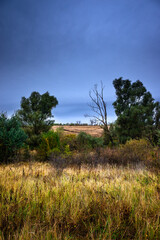 Obraz premium Landscape photography on the field with big and smooth clouds in the sky,Stormy weather on the picture.Big blue clouds iver the forest nd field, morning landscape in the woodlands.Aurumn blue hour,