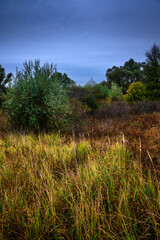 Obraz premium Landscape photography on the field with big and smooth clouds in the sky,Stormy weather on the picture.Big blue clouds iver the forest nd field, morning landscape in the woodlands.Aurumn blue hour,