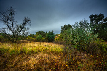 Landscape photography on the field with big and smooth clouds in the sky,Stormy weather on the picture.Big blue clouds iver the forest nd field, morning landscape in the woodlands.Aurumn blue hour,