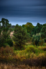 Landscape photography on the field with big and smooth clouds in the sky,Stormy weather on the picture.Big blue clouds iver the forest nd field, morning landscape in the woodlands.Aurumn blue hour,