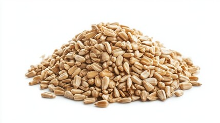 Heap of sunflower seeds, isolated. 