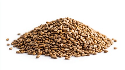Heap of sunflower seeds, isolated. 