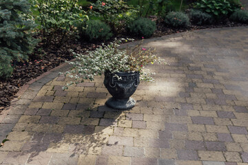 Beautiful summer garden with a walkway winding its way through