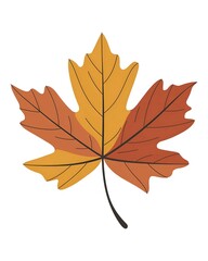 autumn maple leaf illustration 