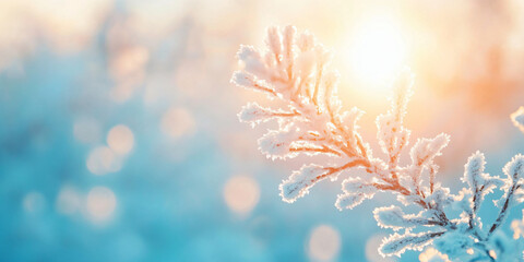 White snow covered tree branch with sunlight