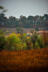 Foggy in the forest,autumn morning .Photo in the rainy and foggy weather, beautiful landscape photo, yellow and red colors .Clouds in the sky,mystery nature.Fog over the forest . Beautiful wild place