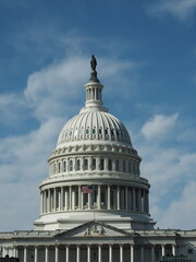 Fototapeta premium View of United States Capitol Dome and Statue of Freedom