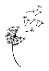 Dandelion the wind is blowing the seeds are flying Print Tattoo Stamp Coloring