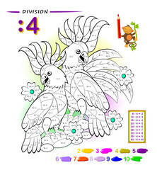 Exercise for kids with division by number 4. Color the couple of cute cockatoo. Educational page for mathematics workbook. Printable worksheet for children textbook. Coloring book. Vector image.