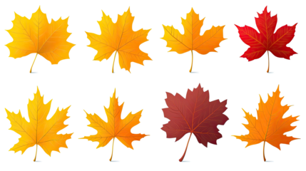 Vibrant Collection of Autumn Leaves in Yellow Orange and Red Hues Generative AI