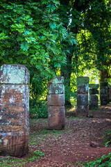 Obraz premium Details of columns covered in moss in the grounds of the Ruins of San Ignacio, Misiones Argentina
